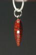 Red Heart, Agatized Dinosaur Bone (Gembone) Pendant #84763-2